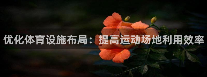 注册凯捷体育：优化体育设施布局：提高运动场地利用效率