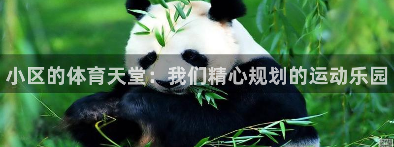 凯捷体育开户：小区的体育天堂：我们精心规划的运动乐园