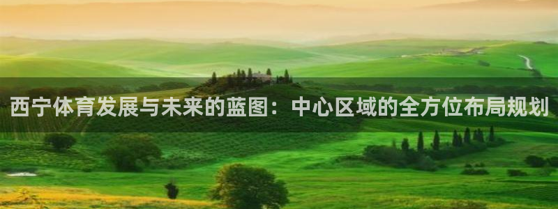 凯捷平台体育：西宁体育发展与未来的蓝图：中心区域的全