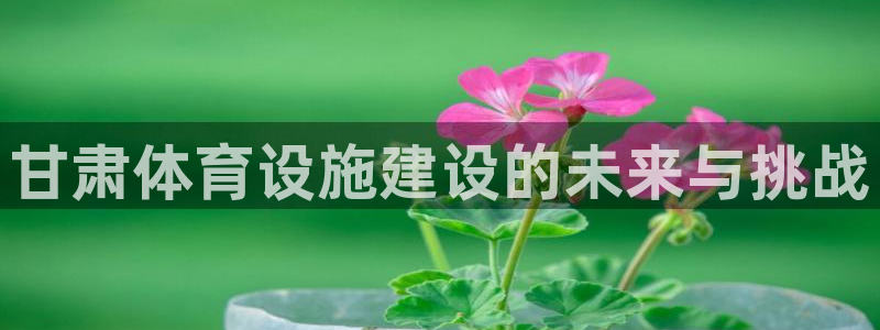 凯捷体育平台注册流程视频：甘肃体育设施建设的未来与挑