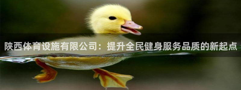 凯捷体育平台是正规平台吗：陕西体育设施有限公司：提升