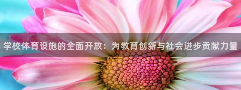 凯捷体育五金厂：学校体育设施的全面开放：为教育创新与