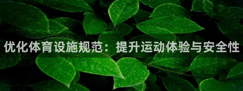 凯捷体育集团官网网址：优化体育设施规范：提升运动体验