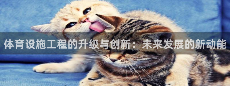 凯捷体育招商：体育设施工程的升级与创新：未来发展的新