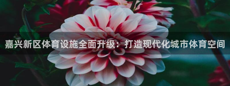凯捷体育平台是正规平台吗：嘉兴新区体育设施全面升级：