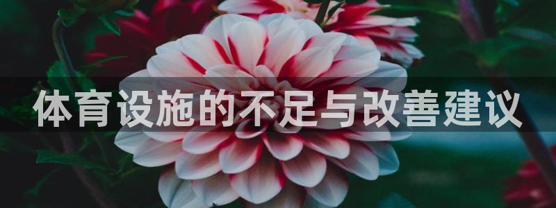 凯捷体育平台是正规平台吗知乎：体育设施的不足与改善建