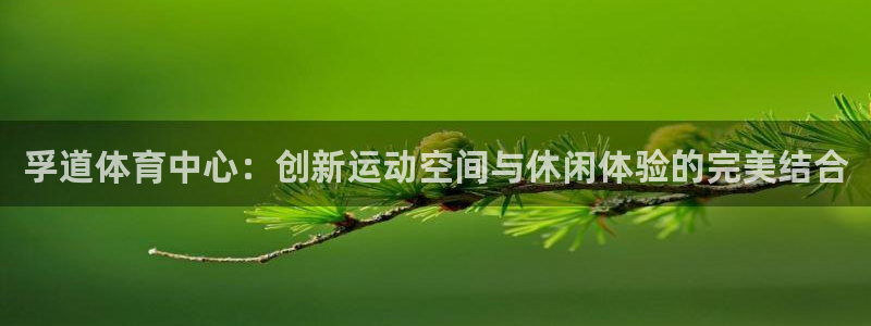 海南凯捷体育发展怎么样：孚道体育中心：创新运动空间与