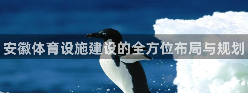 凯捷体育招商电话：安徽体育设施建设的全方位布局与规划