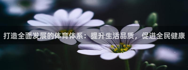 凯捷体育娱乐代理怎么样：打造全面发展的体育体系：提升