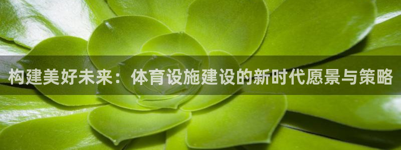凯捷体育招商电话地址：构建美好未来：体育设施建设的新