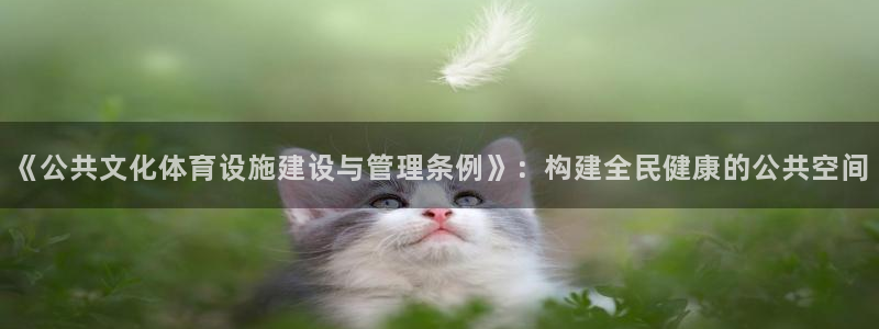 凯捷体育平台是正规平台吗安全吗：《公共文化体育设施建