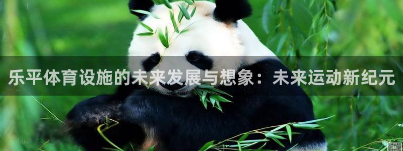 凯捷体育平台注册：乐平体育设施的未来发展与想象：未来