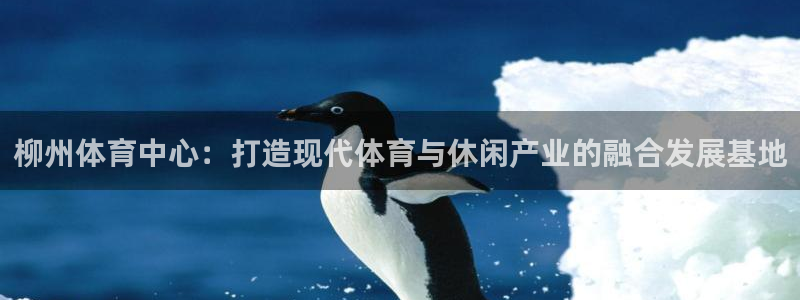 凯捷集团官网：柳州体育中心：打造现代体育与休闲产业的