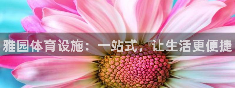 凯捷体育娱乐代理怎么样：雅园体育设施：一站式，让生活