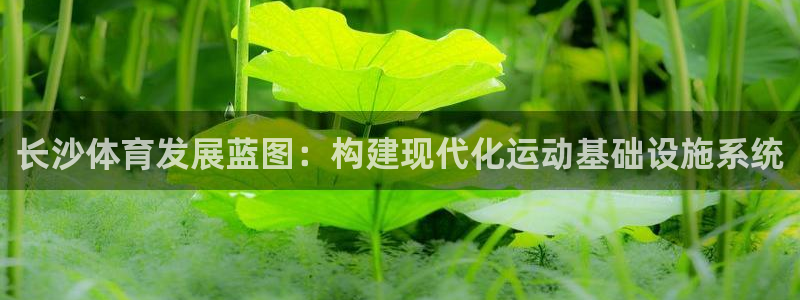 凯捷体育招商电话地址查询：长沙体育发展蓝图：构建现代