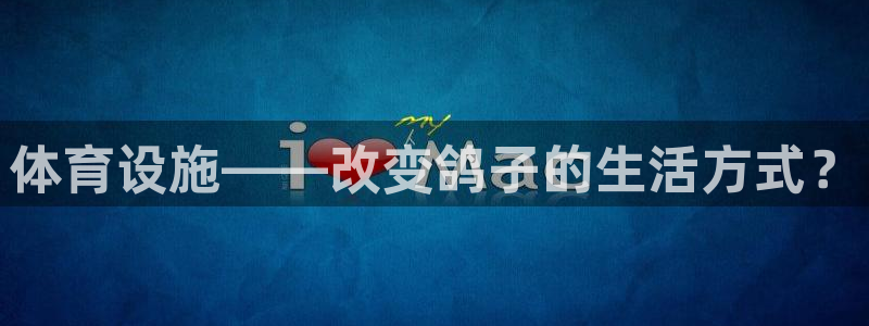 凯捷体育娱乐：体育设施——改变鸽子的生活方式？