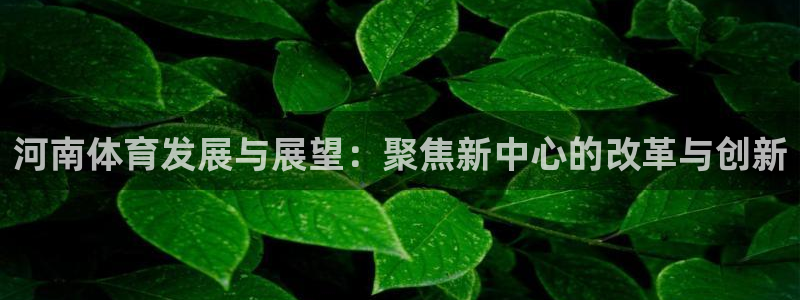 凯捷体育娱乐：河南体育发展与展望：聚焦新中心的改革与
