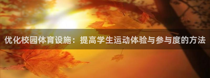 凯捷体育集团：优化校园体育设施：提高学生运动体验与参