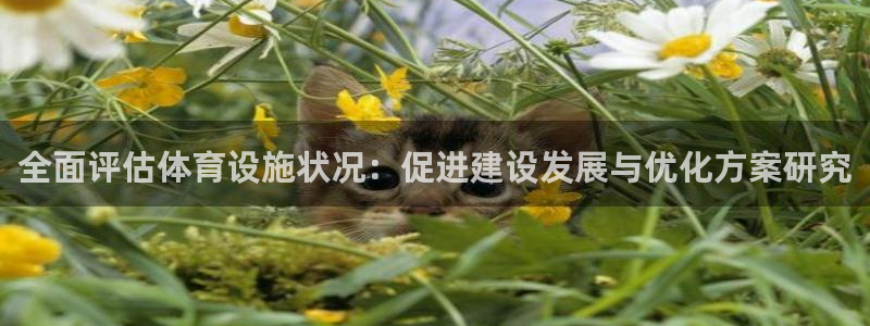 凯捷体育集团简介：全面评估体育设施状况：促进建设发展与优化方