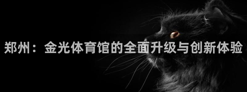 凯捷体育集团简介：郑州：金光体育馆的全面升级与创新体