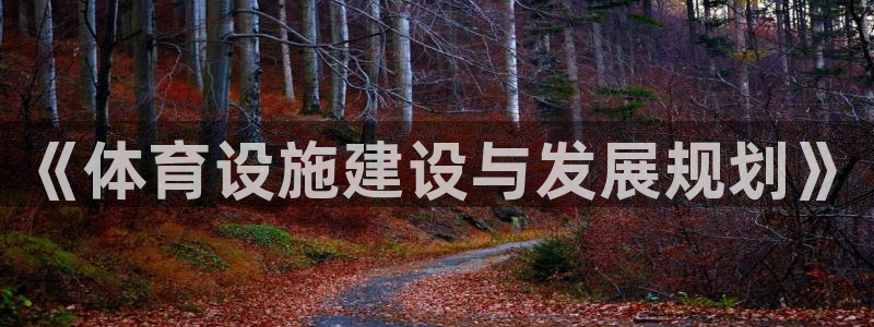 凯捷体育平台注册：《体育设施建设与发展规划》