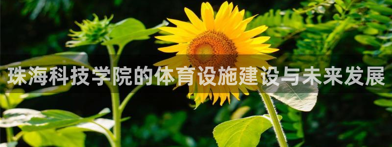 凯捷体育娱乐：珠海科技学院的体育设施建设与未来发展