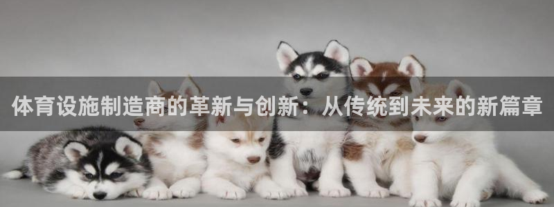 凯捷体育集团logo：体育设施制造商的革新与创新：从