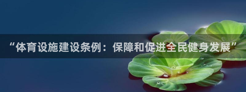 凯捷体育平台是正规平台吗：“体育设施建设条例：保障和