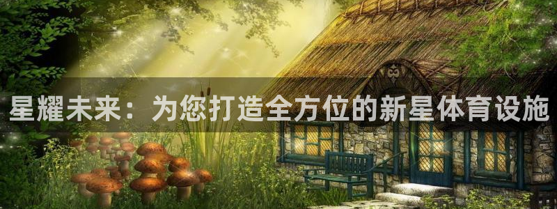 凯捷体育官网：星耀未来：为您打造全方位的新星体育设施