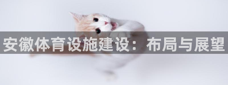 凯捷体育平台假的吗是真的吗吗：安徽体育设施建设：布局与展望