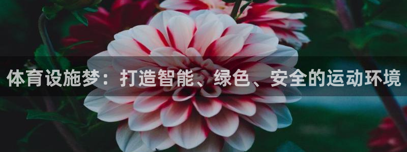 海南凯捷体育：体育设施梦：打造智能、绿色、安全的运动环境