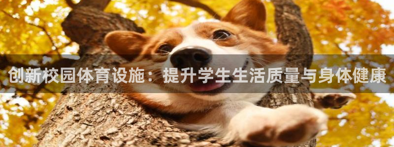 凯捷体育平台注册要钱吗是真的吗：创新校园体育设施：提升学生生