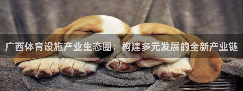 注册凯捷体育：广西体育设施产业生态圈：构建多元发展的