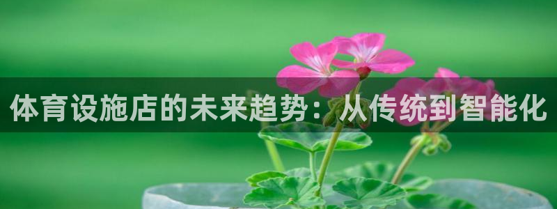 海南凯捷体育发展怎么样：体育设施店的未来趋势：从传统