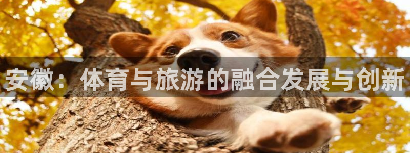 凯捷体育平台注册流程视频