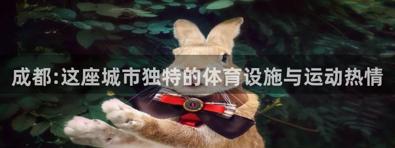 凯捷体育娱乐首页网站大全：成都:这座城市独特的体育设