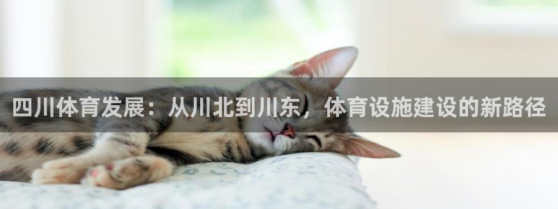 凯捷体育注册：四川体育发展：从川北到川东，体育设施建设的新路