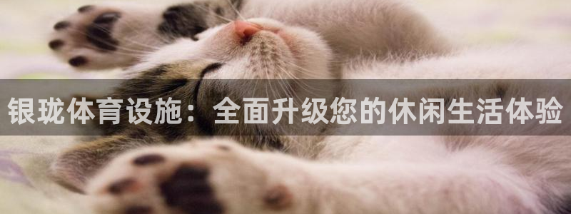 凯捷体育娱乐平台：银珑体育设施：全面升级您的休闲生活