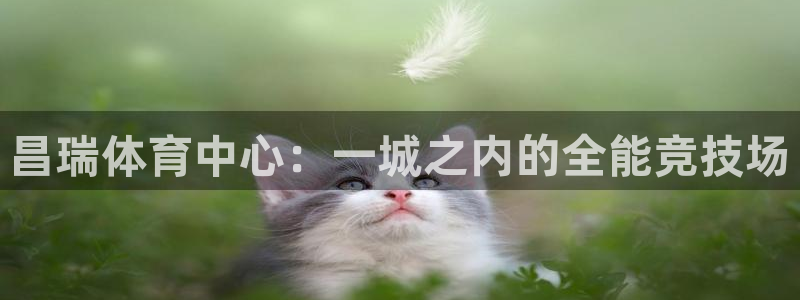 凯捷体育招商电话：昌瑞体育中心：一城之内的全能竞技场