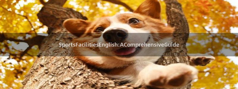 凯捷体育招商电话号码：SportsFacilitiesEng