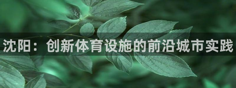 凯捷体育娱乐代理怎么样：沈阳：创新体育设施的前沿城市