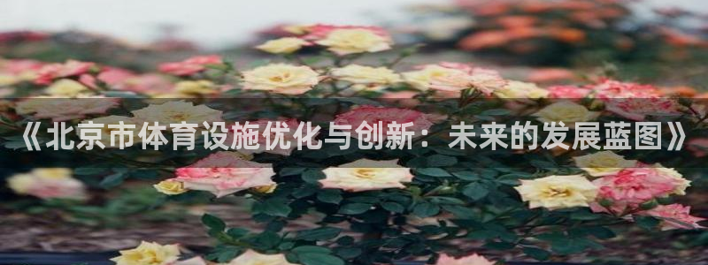 凯捷体育集团官网网址：《北京市体育设施优化与创新：未来的发展
