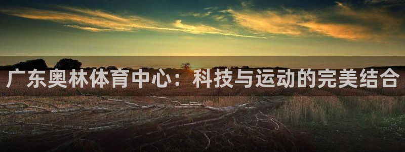 凯捷体育招商电话号码是多少号：广东奥林体育中心：科技与运动的