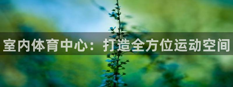 凯捷体育招商电话是多少：室内体育中心：打造全方位运动空间