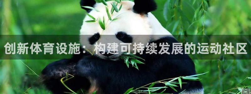 凯捷体育平台注册：创新体育设施：构建可持续发展的运动社区