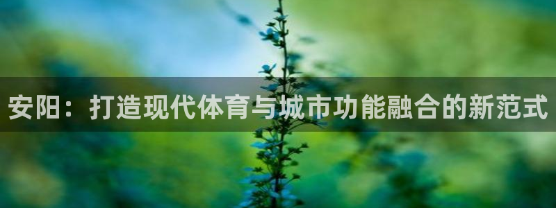 凯捷体育平台注册流程图：安阳：打造现代体育与城市功能