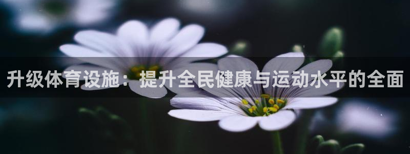 凯捷体育平台APP：升级体育设施：提升全民健康与运动