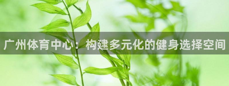 凯捷体育软件：广州体育中心：构建多元化的健身选择空间