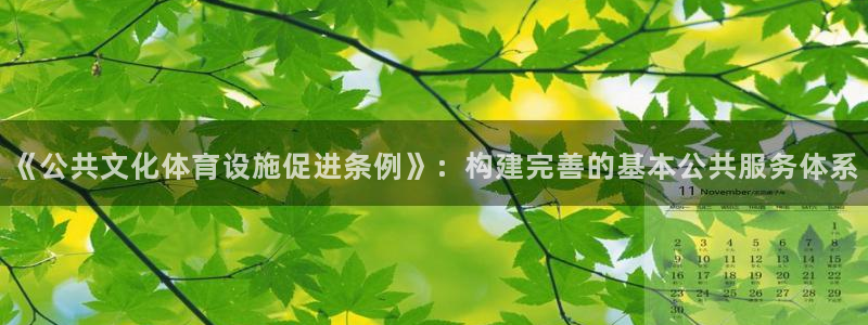 凯捷体育平台假的吗是真的吗：《公共文化体育设施促进条