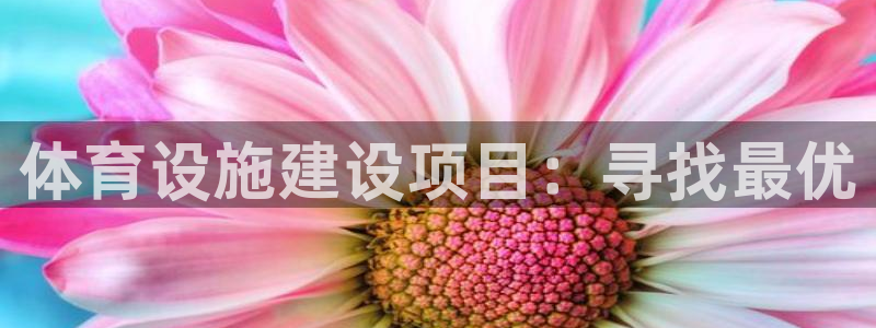 凯捷体育注册：体育设施建设项目：寻找最优
